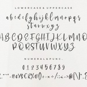 Mackyloo Modern Script