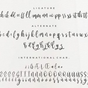 Mackyloo Modern Script