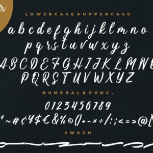 Magnifyco Bold Script