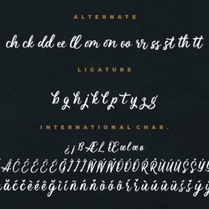 Magnifyco Bold Script