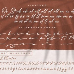 Mallorie Handbrush Stylish