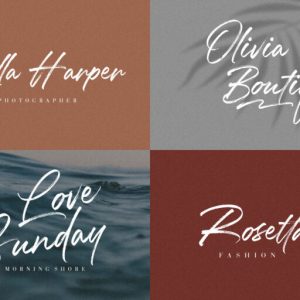 Mallorie Handbrush Stylish