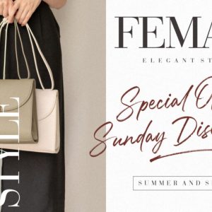 Mallorie Handbrush Stylish