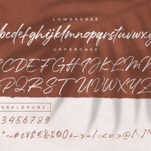 Mallorie Handbrush Stylish