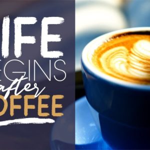 Mandhy Brush Series Sans