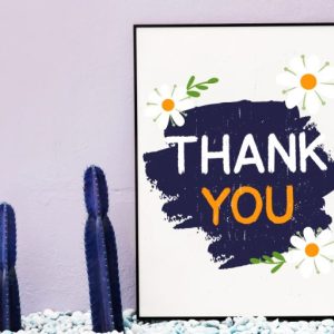 Mandhy Brush Series Sans