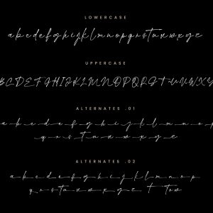 Margheritte Modern Script