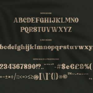 Marleigh Retro Serif