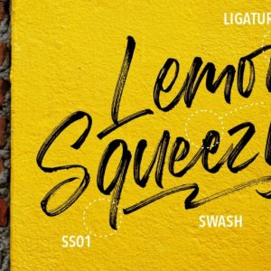 Misrelly Signature Brush