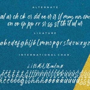 Misrelly Signature Brush