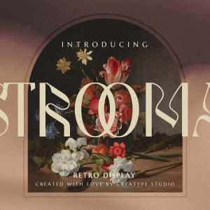 Strooma Retro Display