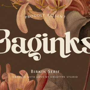 Baginks Birkin Serif