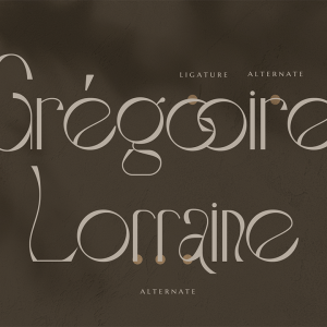 Stockist Elegant Display