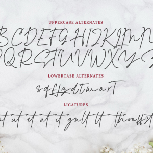 Alexandra Monoline Script