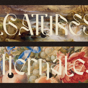 Strooma Retro Display