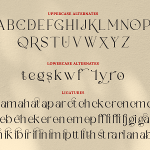 Rosalina Stylish Serif