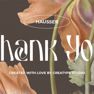 Hausser Modern Display