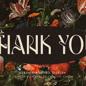 Strooma Retro Display