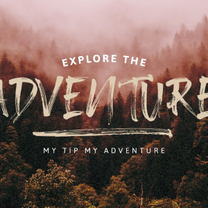 Rockfull Capital Brush