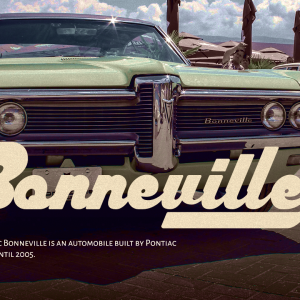 Harllem Display Vintage