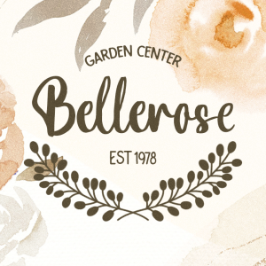 Bottanical Brush Script