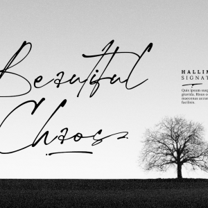 Hallimun Signature Casual Script