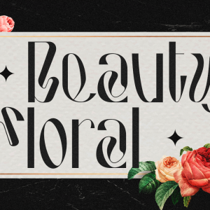 Hausser Modern Display