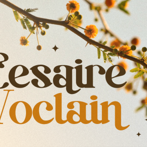 Baginks Birkin Serif