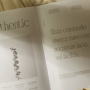 Mangroove Modern Serif