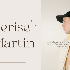 Chanceux Modern Stylish Serif