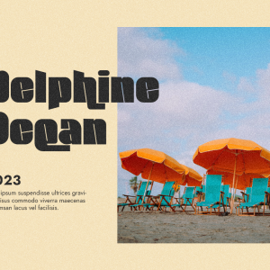 Sunblock Display Bold