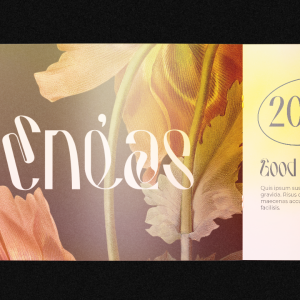 Hausser Modern Display