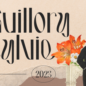 Hausser Modern Display