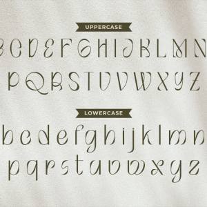 Montero Beautiful Sans