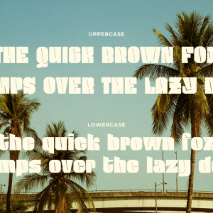 Sunblock Display Bold