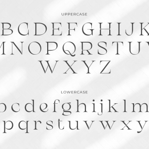 Chanceux Modern Stylish Serif