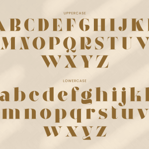 Eloora Bold Serif