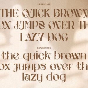 Stockhoolm Medieval Serif