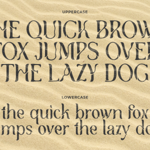 Brooklyn Display Stencil Serif