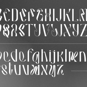 Hausser Modern Display