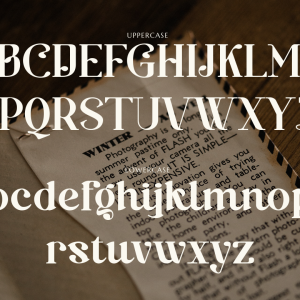 Baginks Birkin Serif