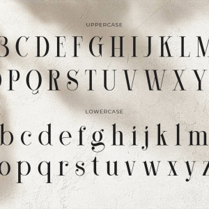 Corleone Elegant Serif