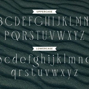 Mangroove Modern Serif