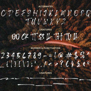 Rockfull Capital Brush