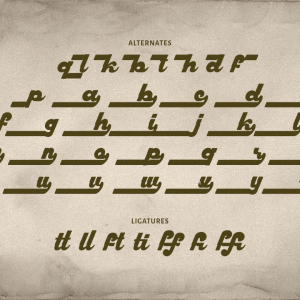 Harllem Display Vintage