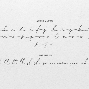 Savannah Signature Script