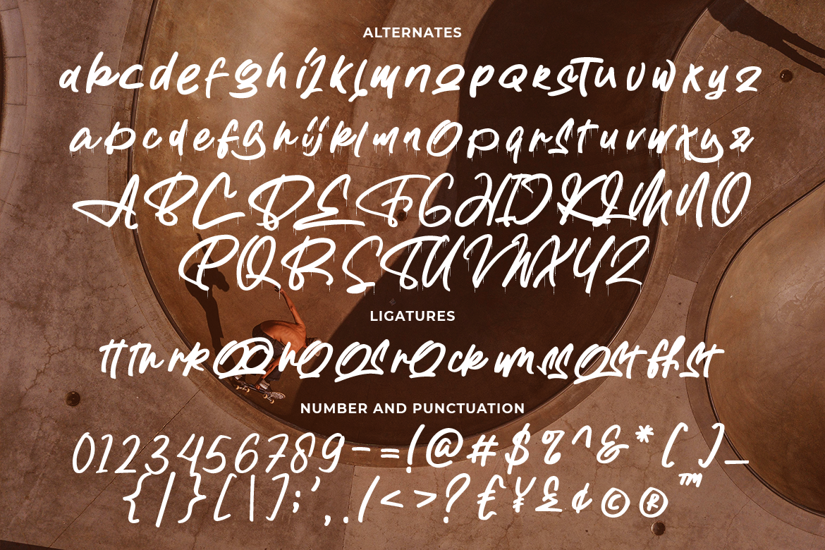 Enostlim Street Brush - Image 8