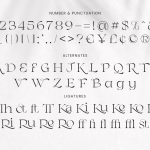 Chanceux Modern Stylish Serif