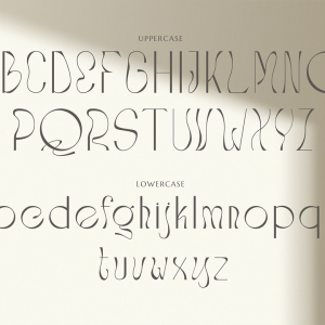 Stockist Elegant Display