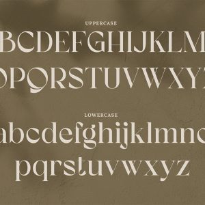 Koolegant Elegant Serif